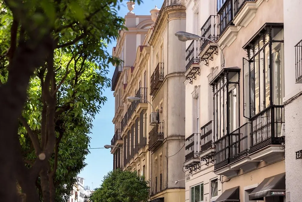 Hotel Puerta Catedral Vinuesa15 Sevilla